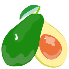illustration of avocado 