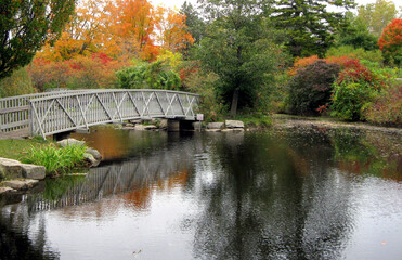 Footbridge in Autumn