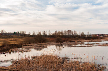 beautiful nature landscape. lake in the village, marshland. village landscape