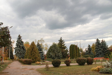 autumn in the old park