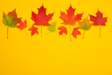 Fall themed graphic resource with leaves on a yellow background