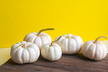 beautiful decorative pumpkin on a yellow background. High quality photo