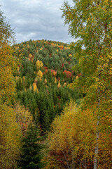 Fototapeta premium beautiful autumn landscapes in the Romanian mountains, Fantanele village area, Sibiu county, Cindrel mountains, Romania