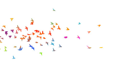 Colorful flying birds in the sky. Vector illustration