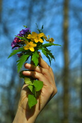 a bouquet of spring flowers in hand against the blue sky