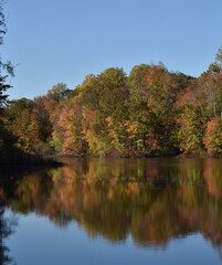 Autumn leaves reflecting on a lake