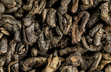 Green gunpowder tea, dry leaves under microscope, image width 23mm