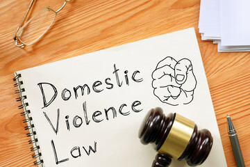 Domestic violence law is shown on the photo using the text