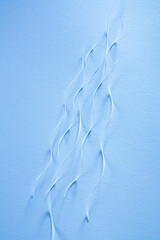 Paper fragments on the textured paper