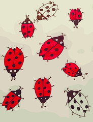 Set of ladybugs. Flat vector illustration.