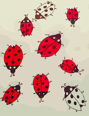 Fototapeta premium Set of ladybugs. Flat vector illustration.