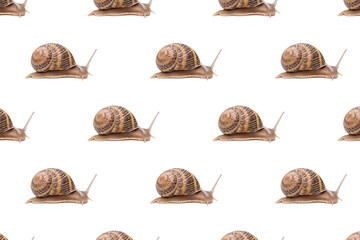Seamless wallpaper pattern with garden brown snails.