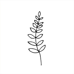 A painted leaf, a flower stalk. Doodle style, black outline, long leaf drawing, minimalism. Isolated. Vector illustration.