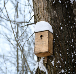 snow-covered wooden birdhouse in winter, hung on a large tree, quiet cold weather