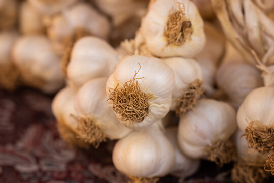 fresh garlic at the market