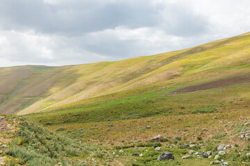 Fototapeta na wymiar Pastures in the mountains of Tajikistan.