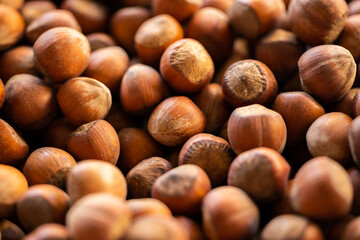 fresh hazelnuts in the market