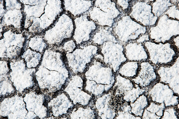 White dry earth with a web of cracks. Dry salty seabed. Salty land.