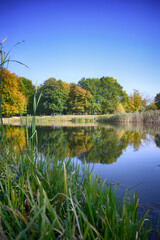 Beautiful lake in the city park in the autumn season