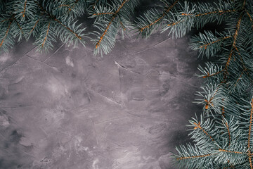 Background image of gray uneven concrete surface with Christmas tree branches. Top view. Copy space