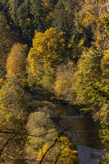 23.10.2021, GER, Bayern, Passau: Naturschutzgebiet "Halser Ilzschleifen" im Herbst.