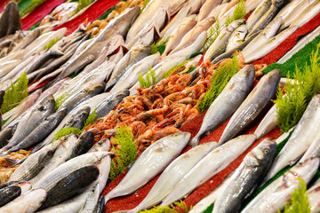 delicious fresh fish in the market