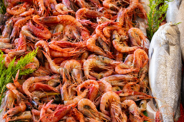 delicious shrimp in the market