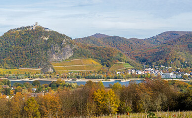 Naklejka premium Siebengebirge im Herbst