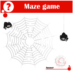 The vector image of a labyrinth of the spider web