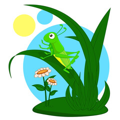 A cute green grasshopper sits on a blade of grass