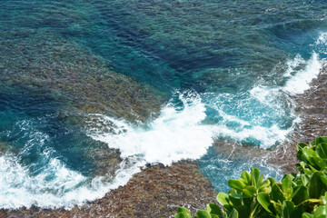 沖縄の海。辺戸岬。
沖縄の北部は世界遺産認定。