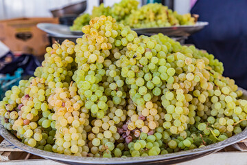 Green grapes for sale at the market in Panjakent.