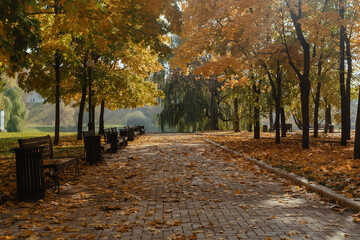 Fototapeta premium Autumn landscape view of the Golden alley with colorful trees in the Park Novodevichy ponds in Moscow. Russian nature in autumn. High quality photo