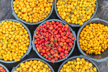 Fresh yellow and red cherry tomatoes at the Panjshanbe Bazaar in Khujand.