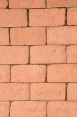 Background in the form of a masonry tile of orange color with moss at the joints in vertical format