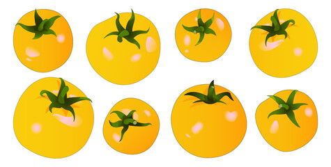 Ripe yellow tomatoes of various sizes. Realistic design. Seasonal vegetables. 