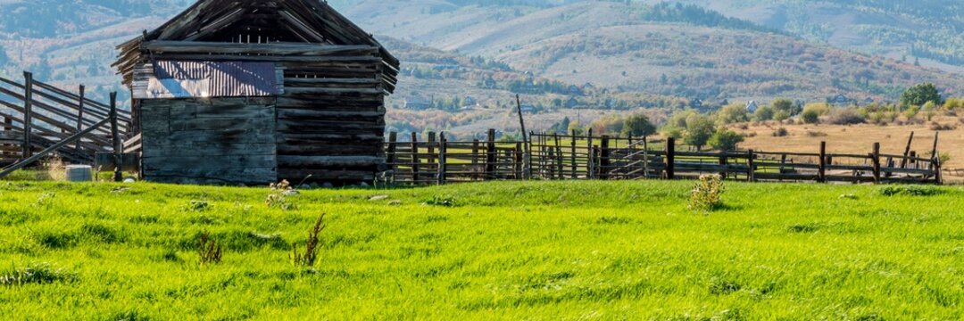 Sheds and Fences