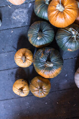 Colorful images of pumpkins 