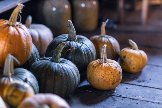 Colorful images of pumpkins 