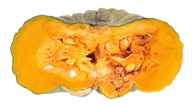 Marina Di Chioggia Pumpkin Baker Creek Heirloom Seed Co Heirloom seeds, Unique v