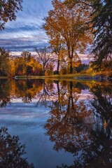Autumn Trees Reflected On The Water
