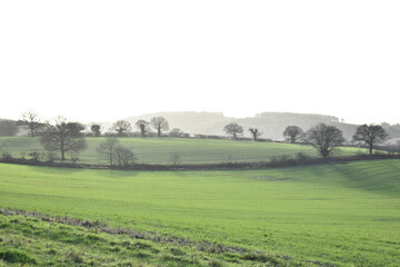 landscape in region of farmers fields