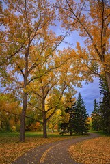 Naklejka premium Road Leading Through An Autumn Park