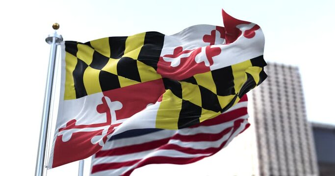 the flag of the US state of Maryland waving in the wind with the American flag blurred in the background