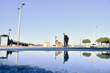Naklejka premium reflet