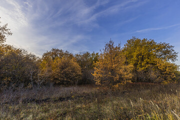 autumn nature of Sursky krai