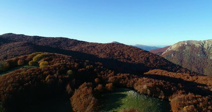 Fall aerial shots over the beech forest at Monte Terminillo, in the central Italy. The beautiful landscape of the rocky mountain and its forest coloured by the warm tones of the fall season.