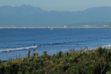 江ノ島　風景
