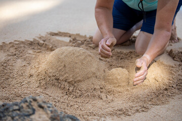 Building a sand turtle on the beach