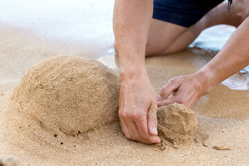 Building a sand turtle on the beach